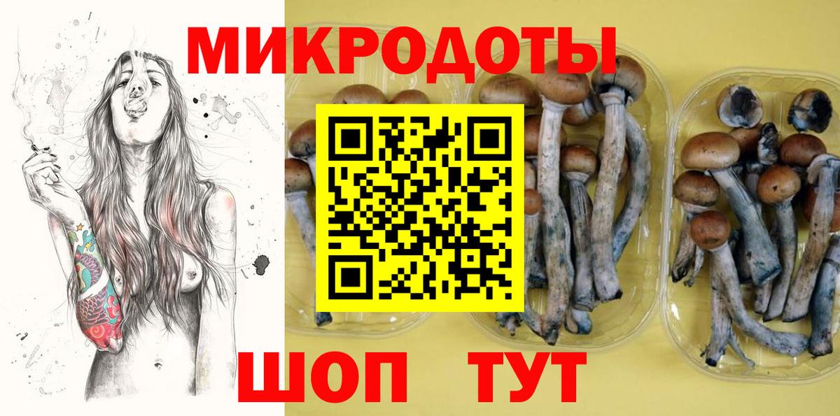 Брянск  Псилоцибиновые грибы Psilocybe  Вход с VPN  Галлюциногенные грибы Psilocybe 